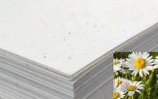 Seeded Craft Paper 10 Sheets
