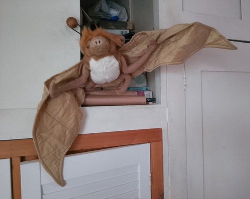 Dowman soft touch bat toy - touch,