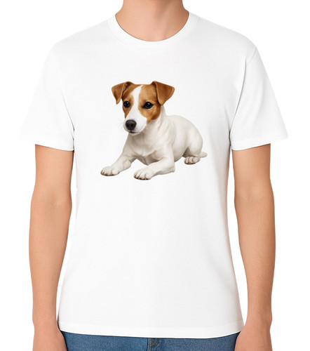 Jack russell terrier - russell,