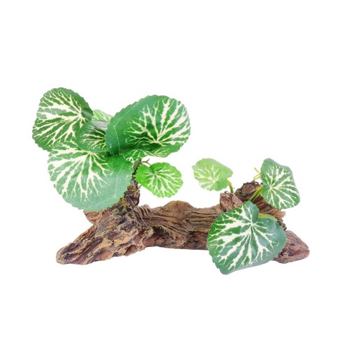 Aquarium resin model ornament - aquarium,
