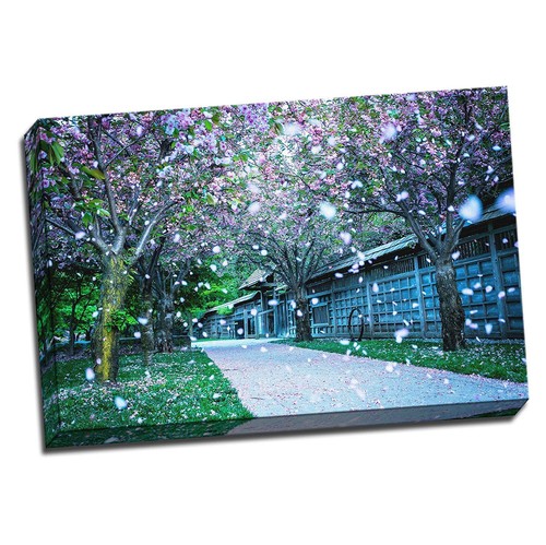 Japanese blossoming flowers - japanese,