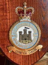 Royal Air Force Squadron 603