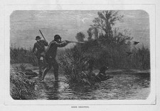 HUNTING Snipe Shooting -