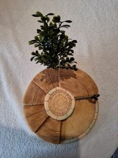 Pendelfin,  Band Stand,  Brand