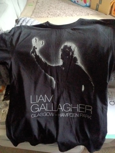 Liam gallagher hampden park - liam,