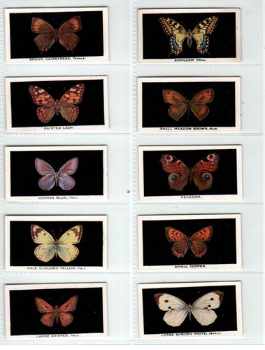Abdulla british butterflies - abdulla:,