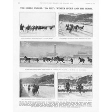 ST MORITZ Winter Sport and The Horse - Vintage Print 1925