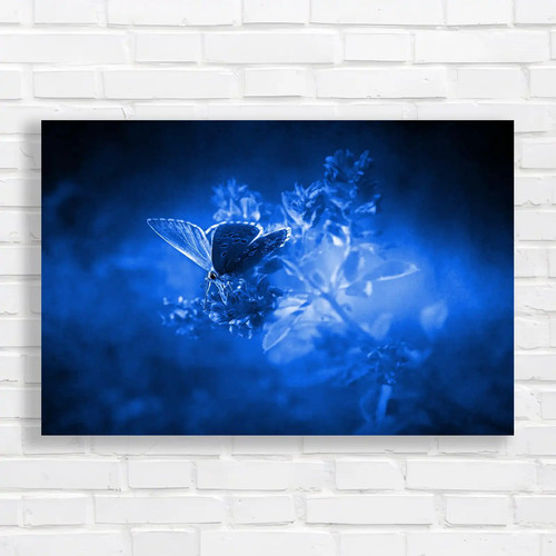 Vintage butterfly blue canvas - butterfly,