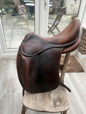 18”Childeric brown Dressage