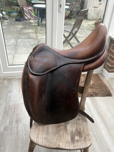 Childeric brown dressage - 18”childeric,