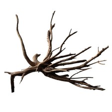 SuperFish Aquarium Fish Tank