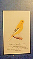 Border Fancy Canary Capern's Bird Food  Plain Back Card c1925