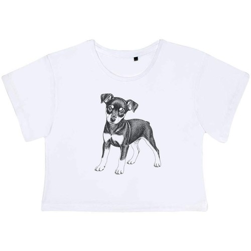 Miniature pinscher puppy - pinscher, puppy'