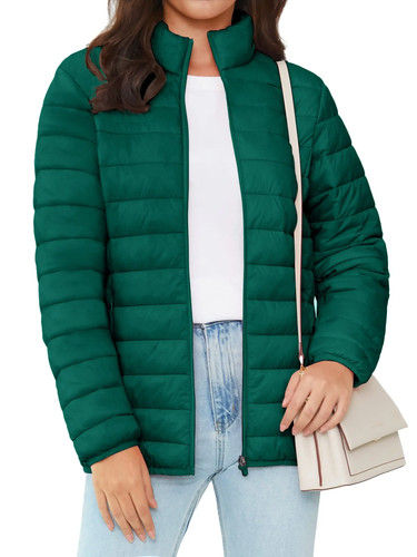 Womens winter puffer jacket - womens,