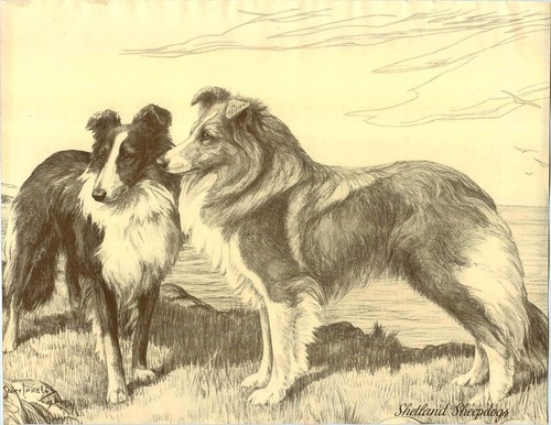 1930 book plate dog print - 1930,