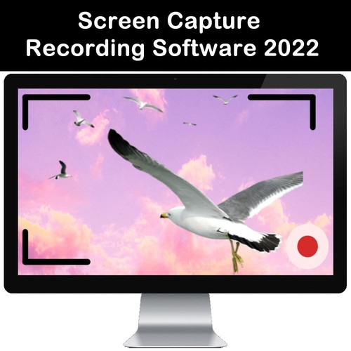 Computer screen capture - computer,