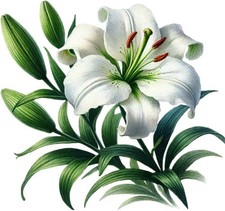 Colourful Flower Rose Wall Art Bedroom Nursery Decor Vinyl Sticker Decal 6 Sizes