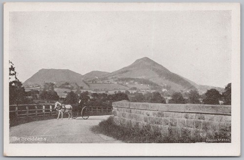 Breidden hills showing - showing, horse