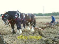 Photo 6x4 Horse-drawn plough