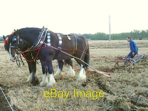 Photo 6x4 horse - 6x4, plough