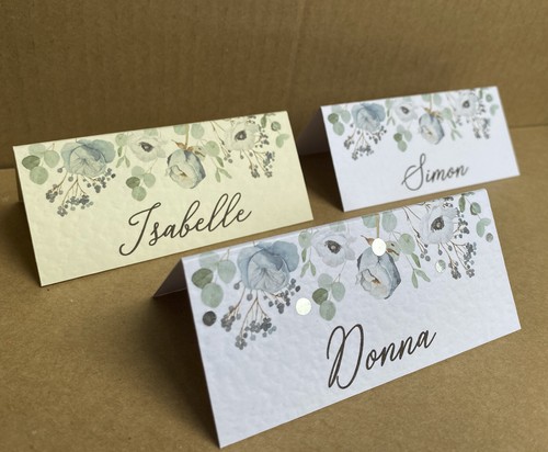 Dusty blue name place cards - 6x,
