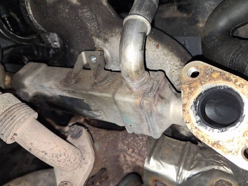 Egr cooler exhaust gas - (exhaust,