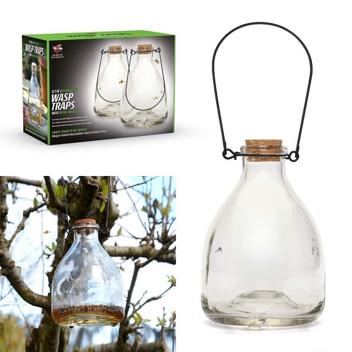 Set wasp trap catcher - set,