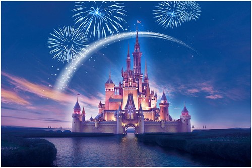 Disney castle fireworks - disney,