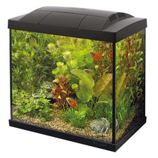 Superfish start tropical - start,