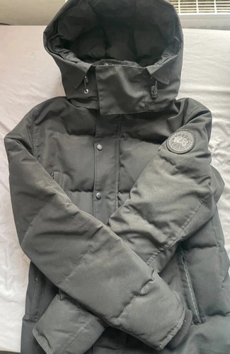 Canada goose arctic program - canada,