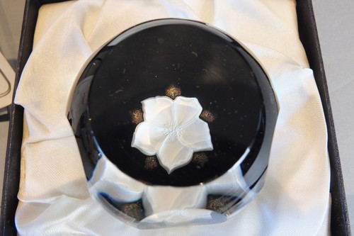 Caithness glass paperweight - caithness,