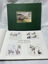 Peter Biegels Racing Pictures