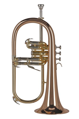 Gewa ambition flugel horn - flugel,