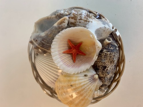 Palgrave seashell basket - seashell,