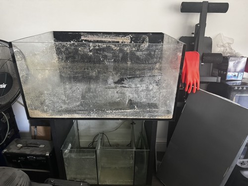 Reef pro 900 - dd,