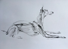 Original signed Ink sketch of