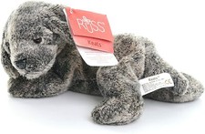 Russ Puppy called Keats, soft