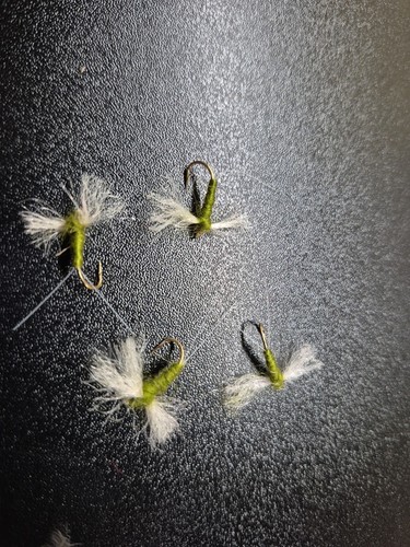 Olive spinner dry fly - fly, size