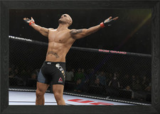 UFC Fighter Victory Framed Wall Art Poster Canvas Print Picture