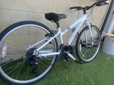 Ridgeback Dimension 24 Silver