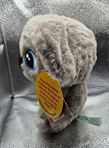 Rays sunshine koala - of,