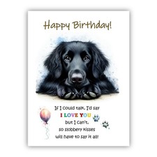 Birthday Card from the dog