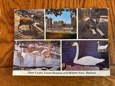 Postcard - Matlock - Riber Castle Wild Life Park