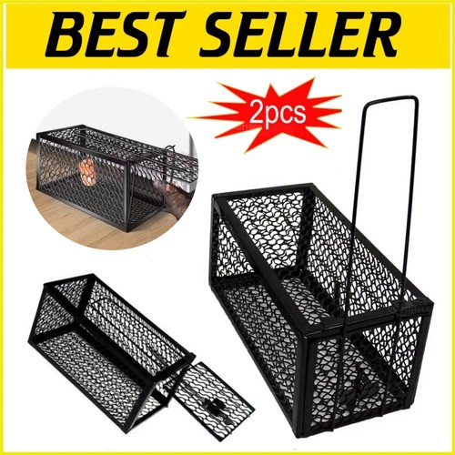 Pack humane rat trap - rat, live