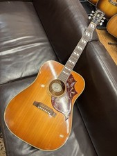 Gibson Hummingbird 2009 2009