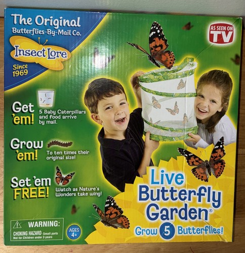Seen the original - as,