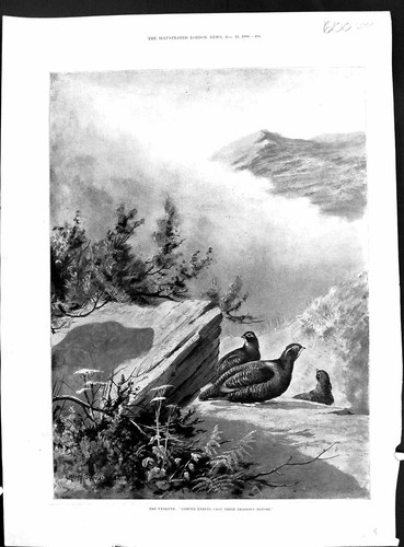 Old 1900 twelfth september - old,