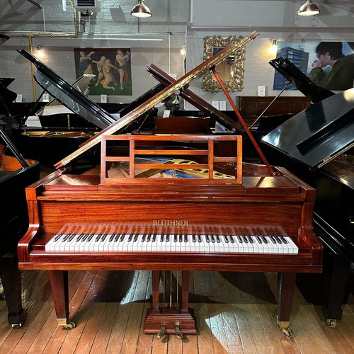 Bluthner style grand piano - bluthner, 5