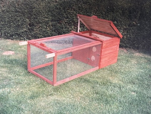 Rabbit guinea pig - pet, run