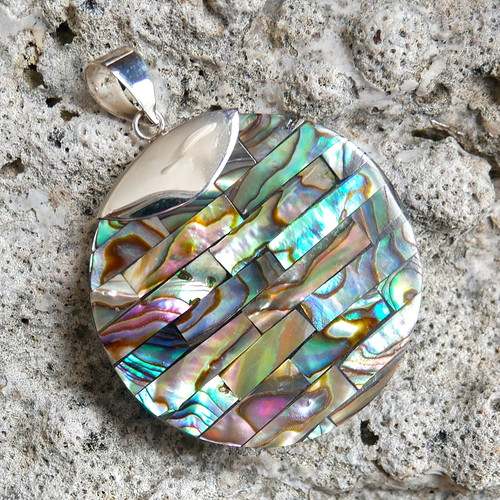 Paua abalone shell - paua,